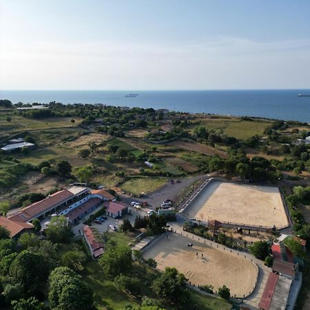 Mavi At Hotel Blue Horse Gumusdere Εξωτερικό φωτογραφία