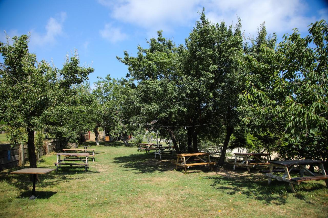 Mavi At Hotel Blue Horse Gumusdere Εξωτερικό φωτογραφία