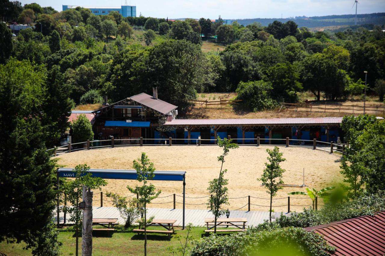 Mavi At Hotel Blue Horse Gumusdere Εξωτερικό φωτογραφία