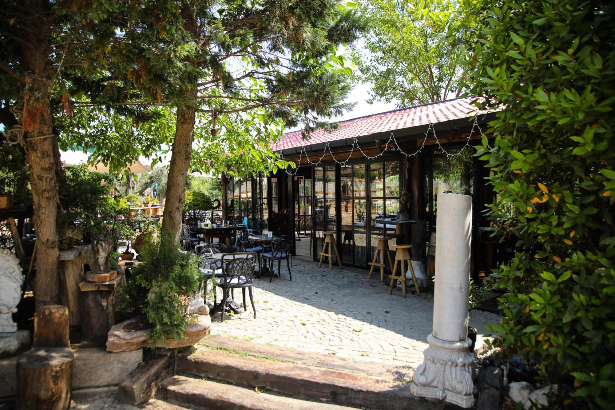 Mavi At Hotel Blue Horse Gumusdere Εξωτερικό φωτογραφία