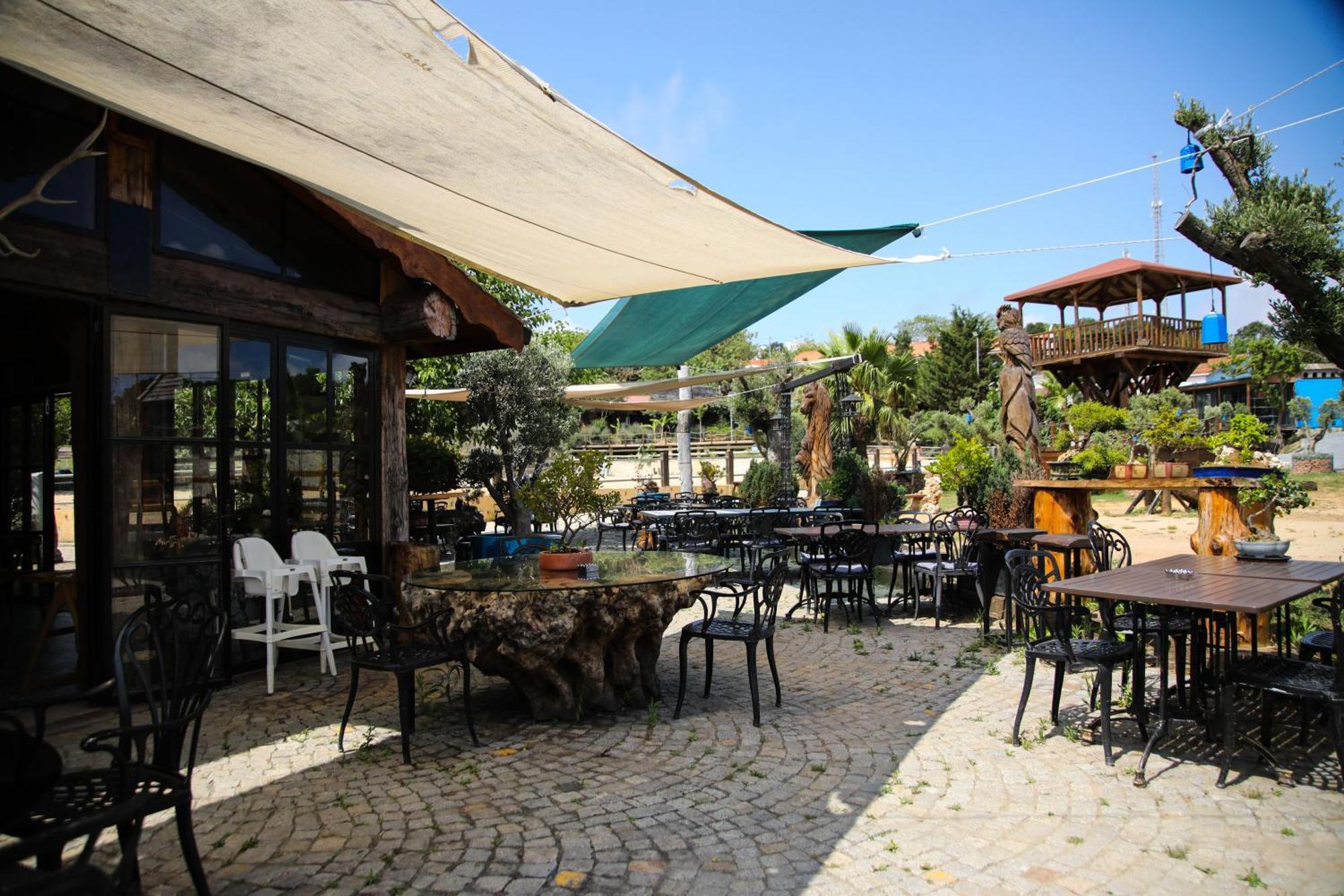 Mavi At Hotel Blue Horse Gumusdere Εξωτερικό φωτογραφία