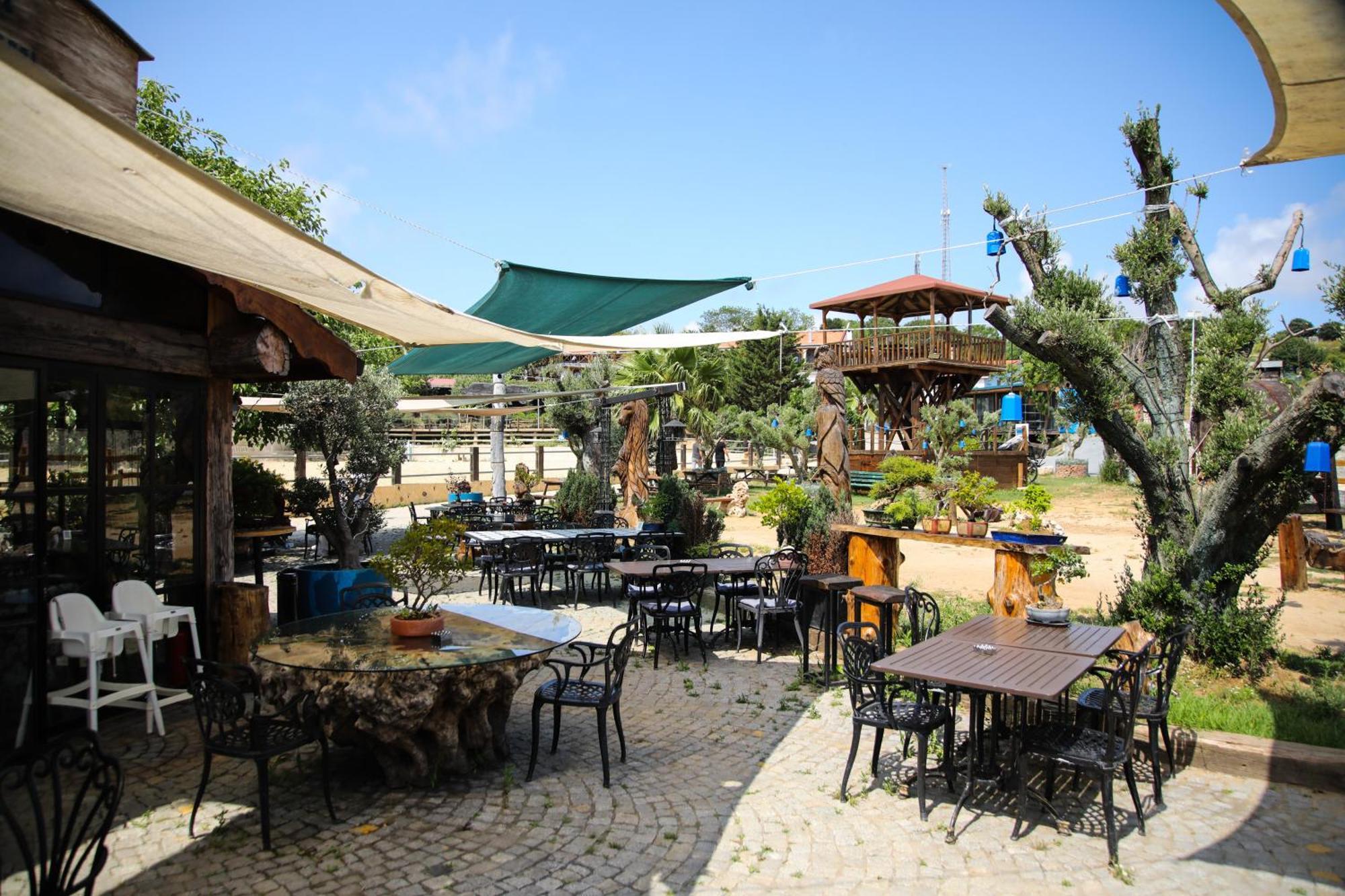 Mavi At Hotel Blue Horse Gumusdere Εξωτερικό φωτογραφία