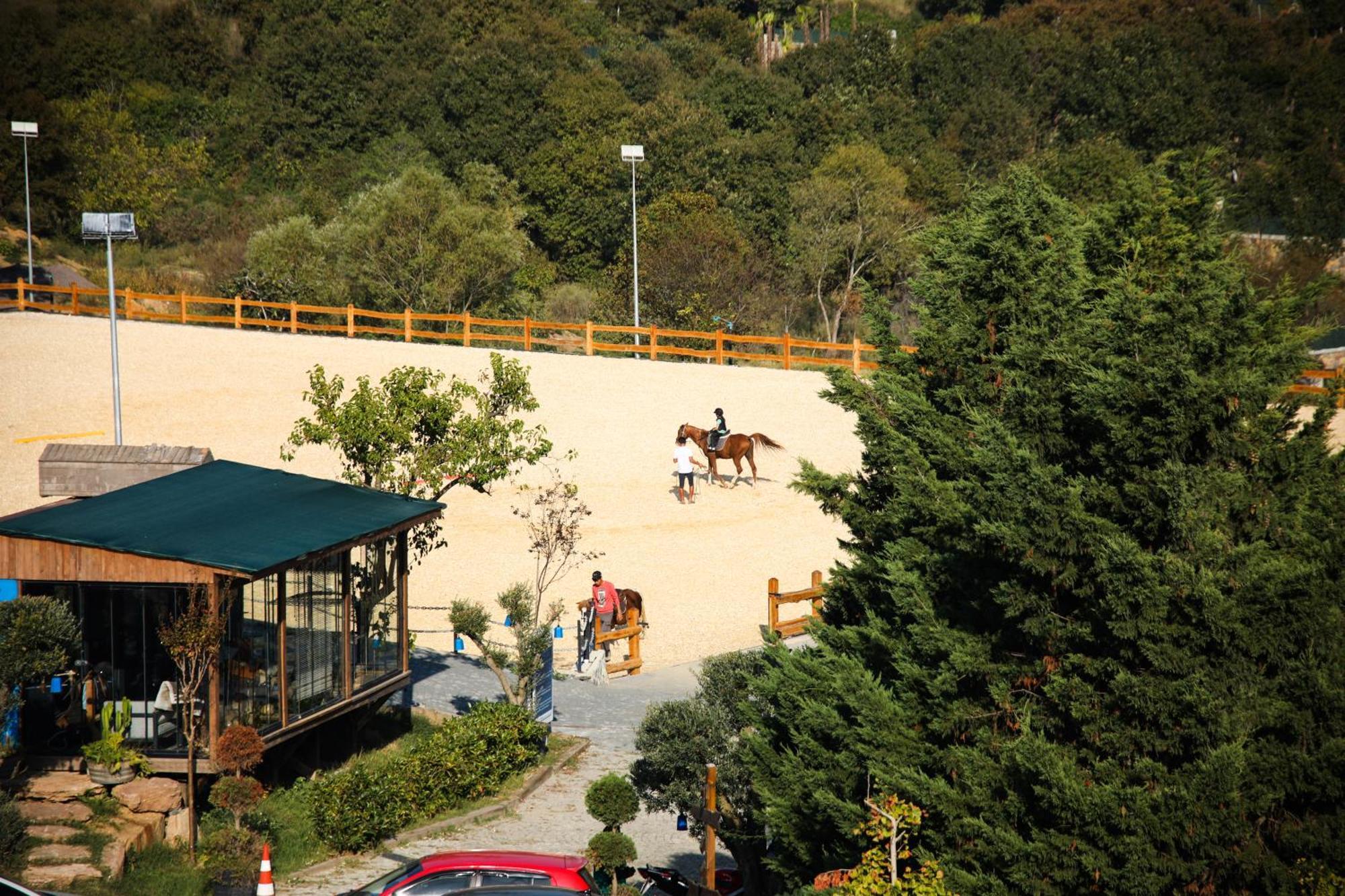 Mavi At Hotel Blue Horse Gumusdere Εξωτερικό φωτογραφία