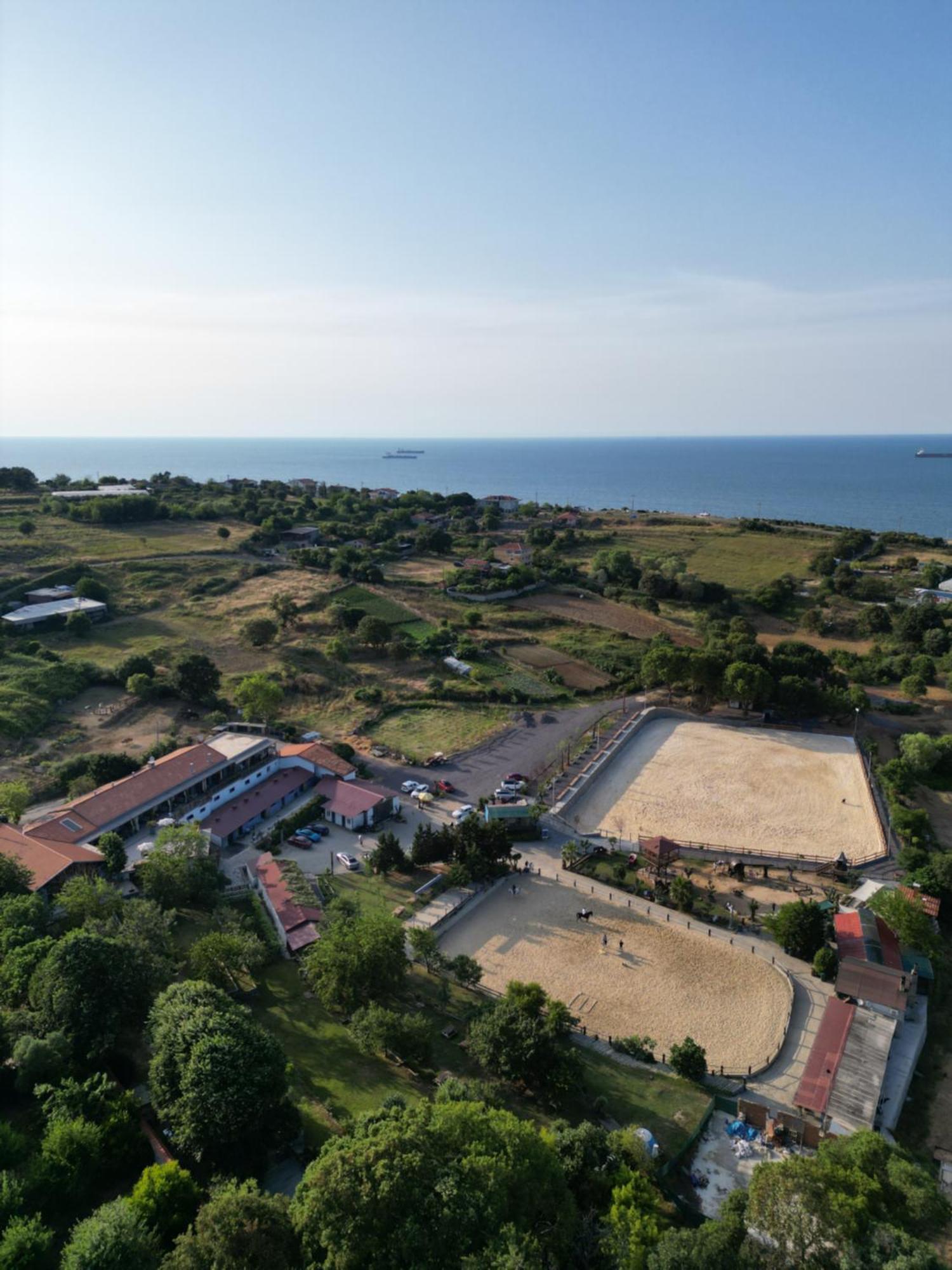 Mavi At Hotel Blue Horse Gumusdere Εξωτερικό φωτογραφία