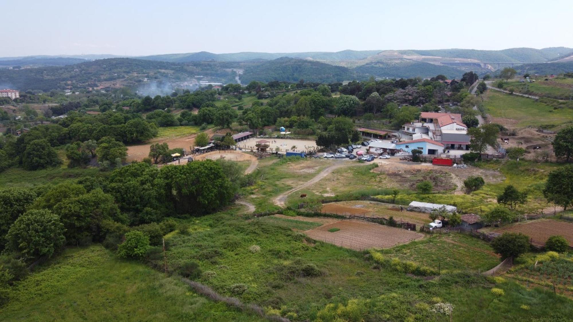 Mavi At Hotel Blue Horse Gumusdere Εξωτερικό φωτογραφία