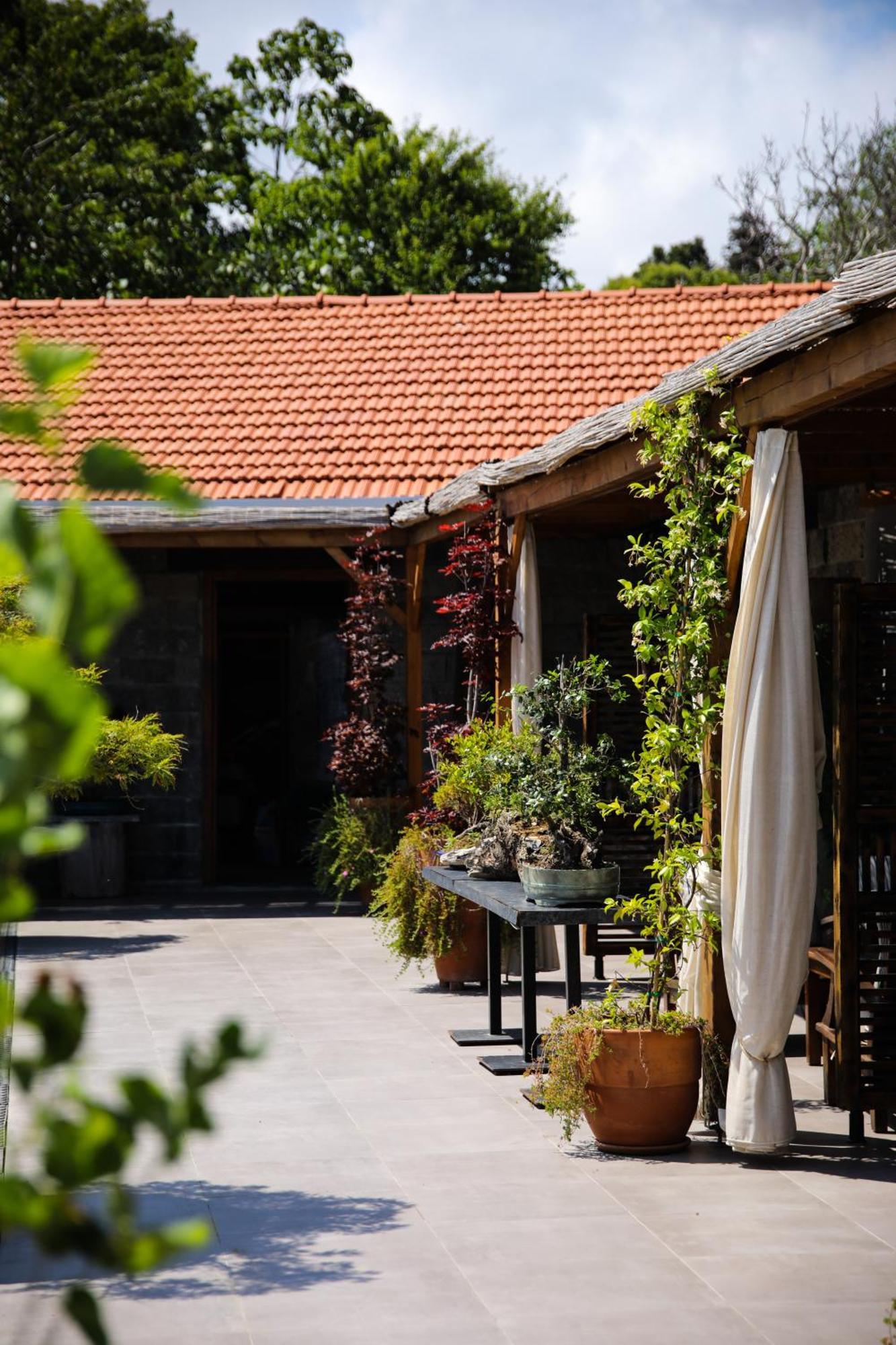 Mavi At Hotel Blue Horse Gumusdere Εξωτερικό φωτογραφία
