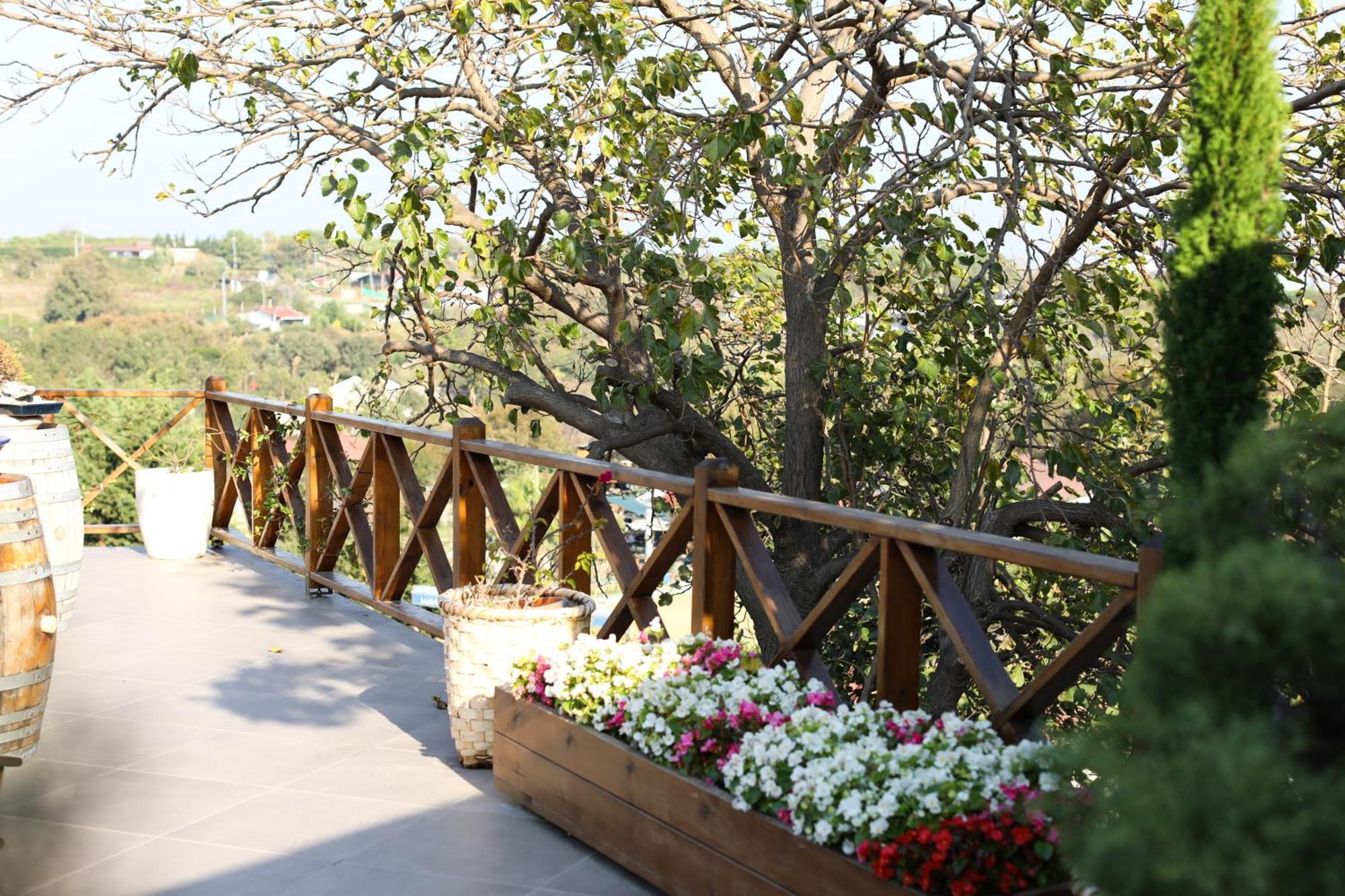 Mavi At Hotel Blue Horse Gumusdere Εξωτερικό φωτογραφία