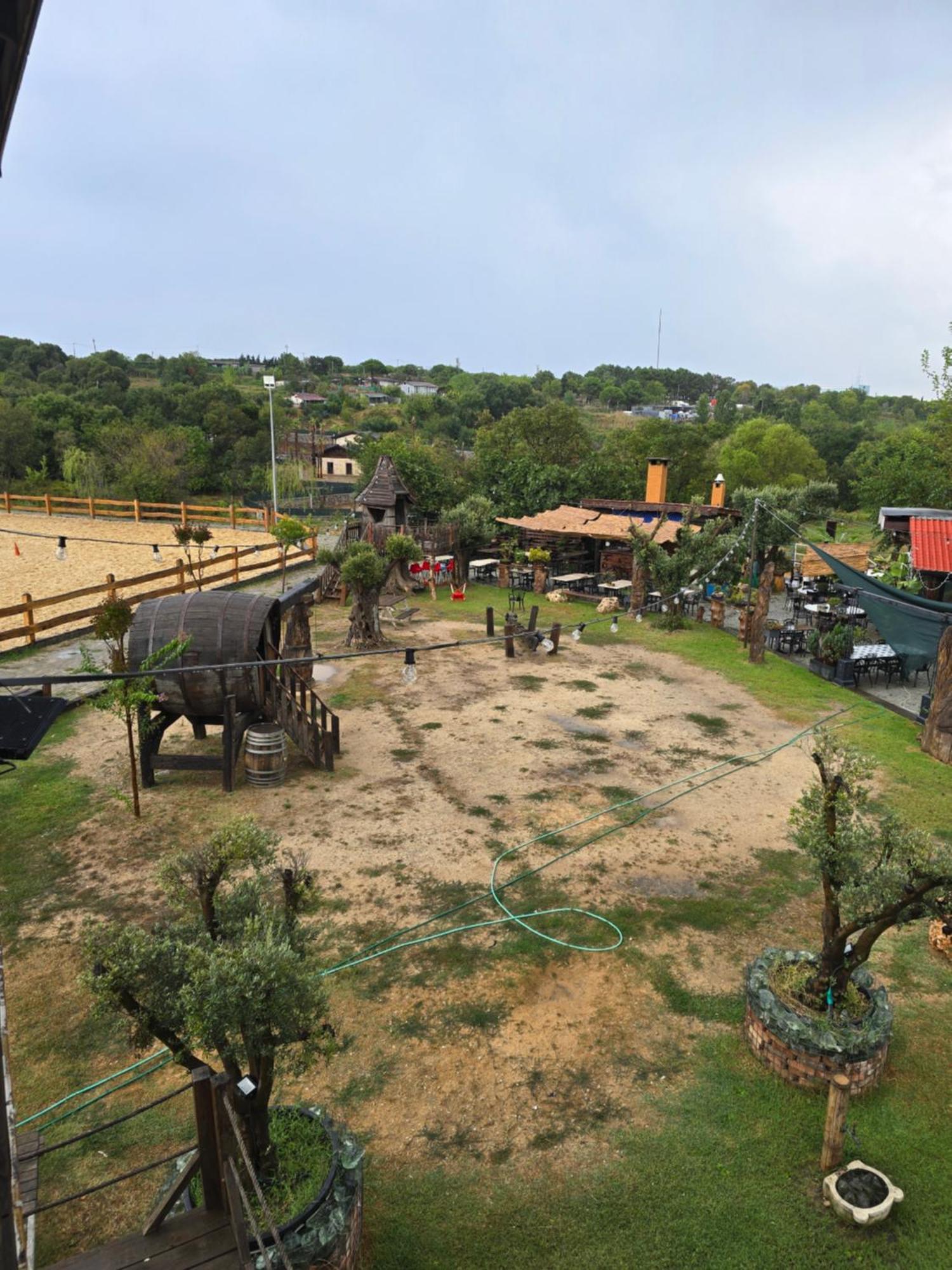 Mavi At Hotel Blue Horse Gumusdere Εξωτερικό φωτογραφία